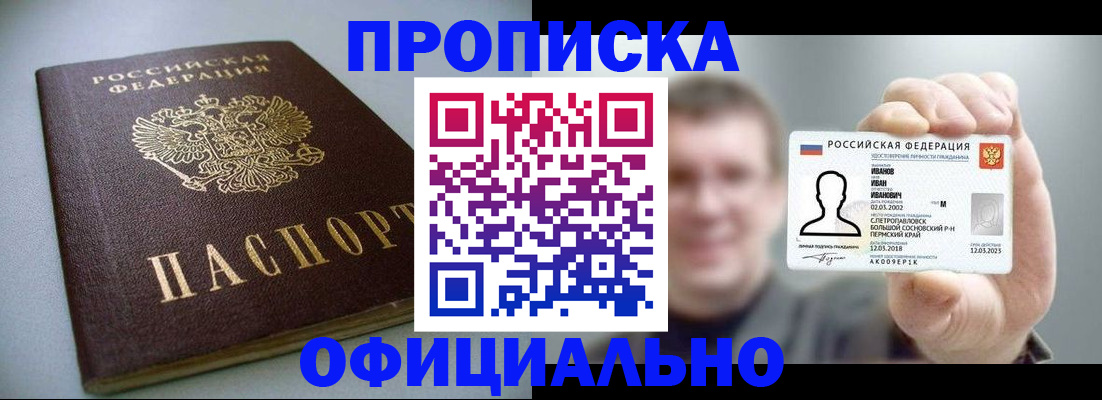 найти адрес прописки в Курчалом